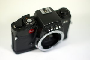 Summilux 50mm f1.4 Leica R-12385